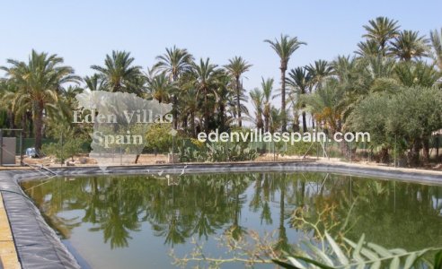 Segunda Mano - Casa de campo - Elche