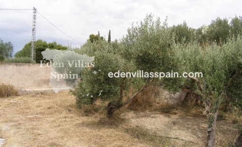 Segunda Mano - Casa de campo - Aspe