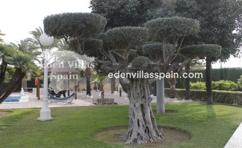 Segunda Mano - Casa de campo - Elche