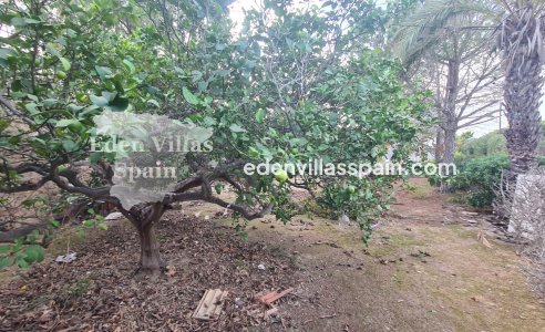 Segunda Mano - Casa de campo - Santa Pola