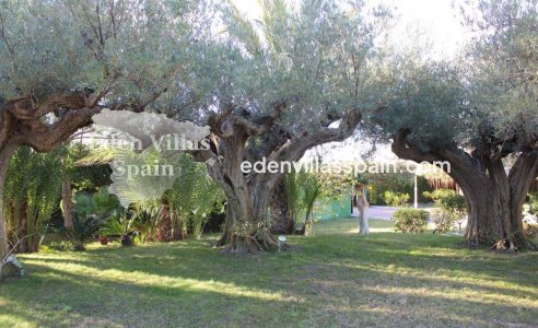 Segunda Mano - Chalet independiente - Santa Pola