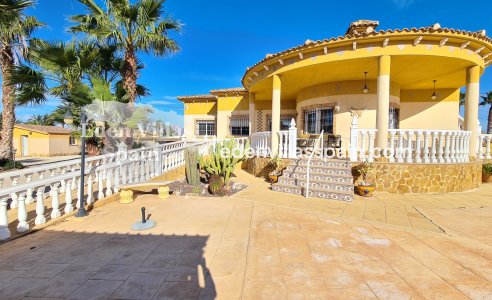 Segunda Mano - Casa de campo - Catral