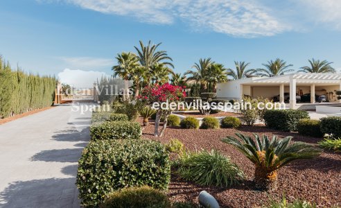 Segunda Mano - Casa de campo - Elche