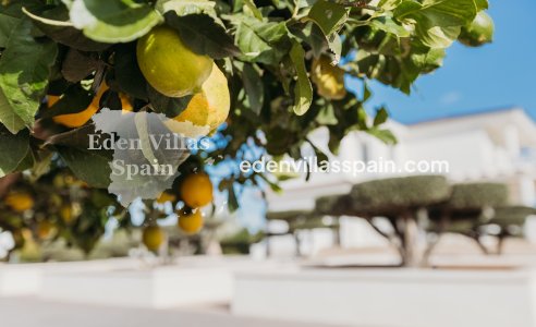 Segunda Mano - Casa de campo - Elche