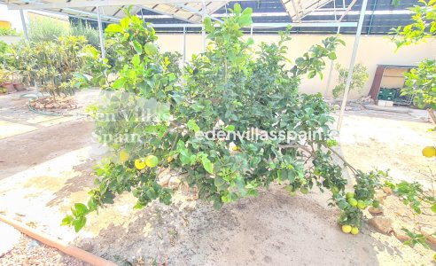 Segunda Mano - Villa costera - La Marina