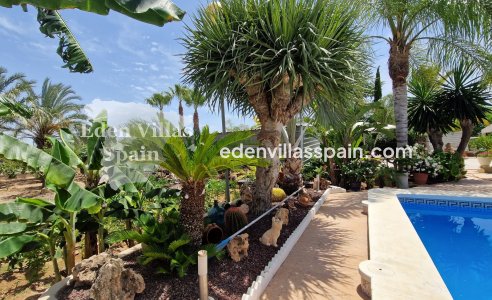 Segunda Mano - Casa de campo - Elche