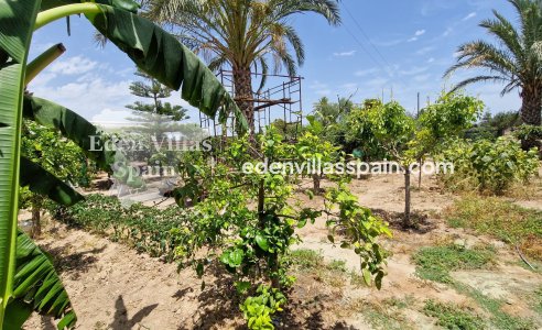 Segunda Mano - Casa de campo - Elche