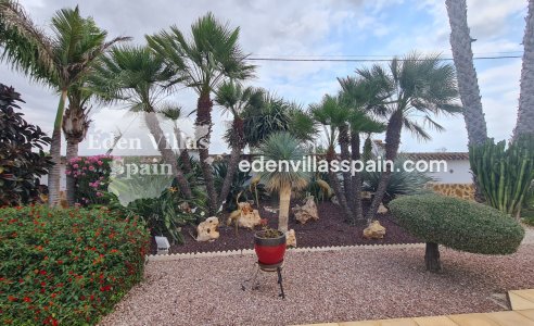 Segunda Mano - Casa de campo - Catral