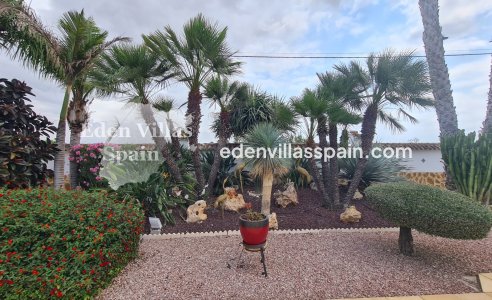 Segunda Mano - Casa de campo - Catral