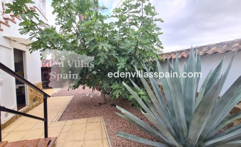 Segunda Mano - Casa de campo - Catral