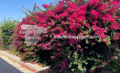 Segunda Mano - Casa de campo - Catral