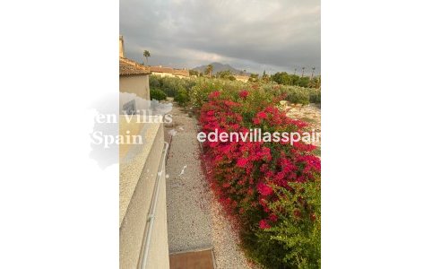 Segunda Mano - Casa de campo - Catral