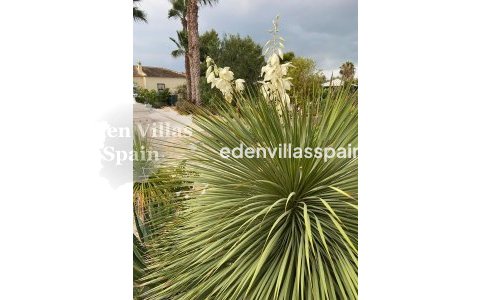 Segunda Mano - Casa de campo - Catral