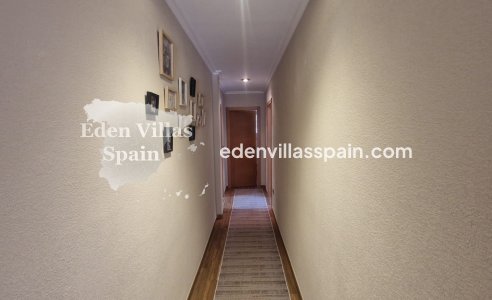 Segunda Mano - Casa de campo - Crevillente