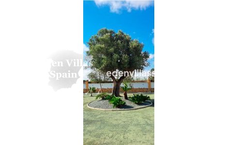 Neubau - Landhaus - Catral