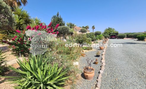 Segunda Mano - Casa de campo - Catral