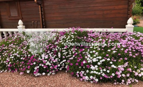 Segunda Mano - Casa de campo - Catral