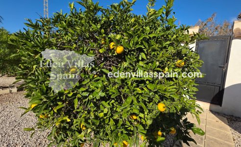 Segunda Mano - Casa de campo - Catral