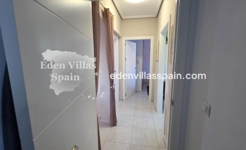 Segunda Mano - Casa de campo - Catral