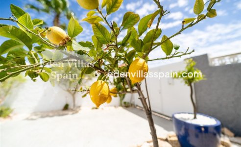 Segunda Mano - Chalet independiente - Torrevieja