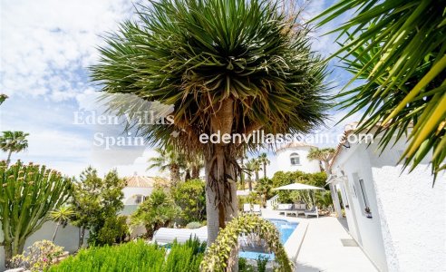 Segunda Mano - Chalet independiente - Torrevieja