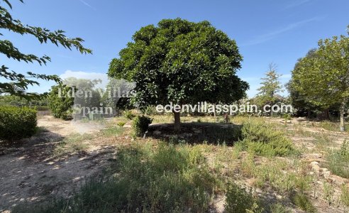 Segunda Mano - Casa de campo - Agost