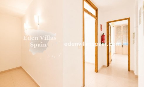 Segunda Mano - Apartamento - Alicante